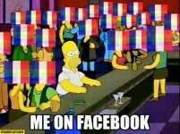 me-on-facebook-homer-simpson-everyone-with-french-flag-as-profile-picture.jpg