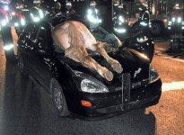 terrible_accident.jpg