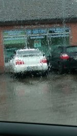 IMAG0019.jpg