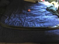image.jpeg