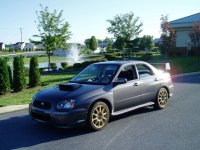 greystijun4_378764.jpg