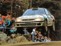 sfcriga_colin-mcrae-the-rally-devil_photo03.jpg