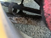 IMG_6507.jpeg