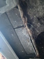 IMG_6544.jpeg