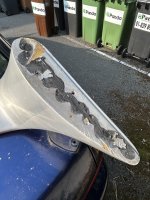IMG_8551.jpeg