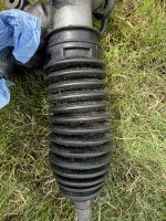 IMG_7430.jpeg