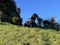 IMG_3065.jpeg