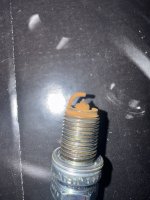 IMG_7764.jpeg