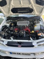 IMG_4226.jpeg