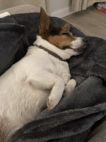 IMG_6786.jpeg