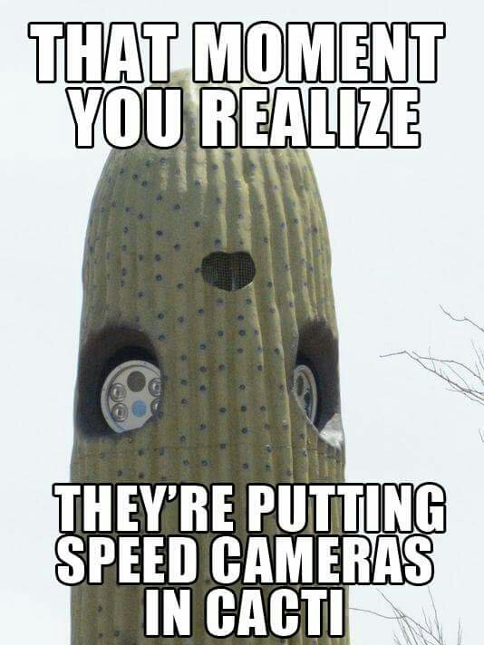 471437fd101b6cd53c6e3a47f853d61a9db18217.jpg