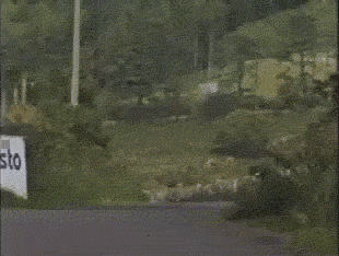 d5fb2a25456238c41140334a2a3fe44a39fa6a69.gif
