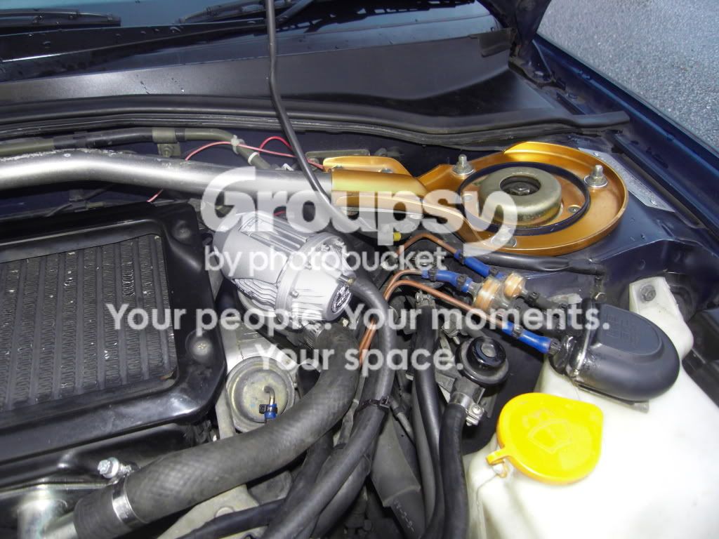 SDC10679.jpg