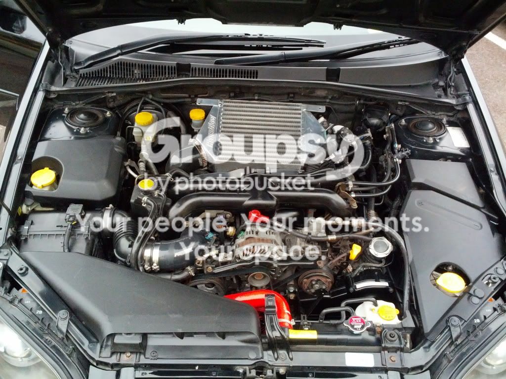 IMG_20120226_171325.jpg