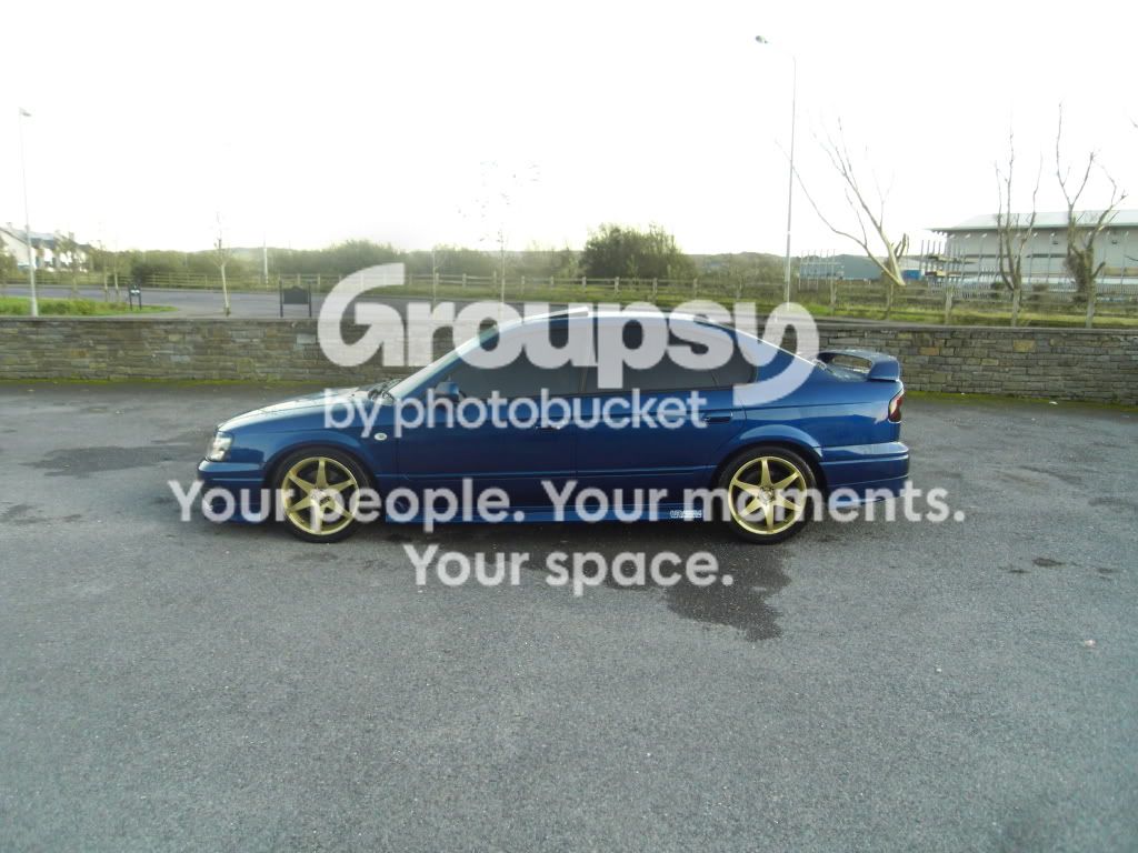 SDC10695.jpg