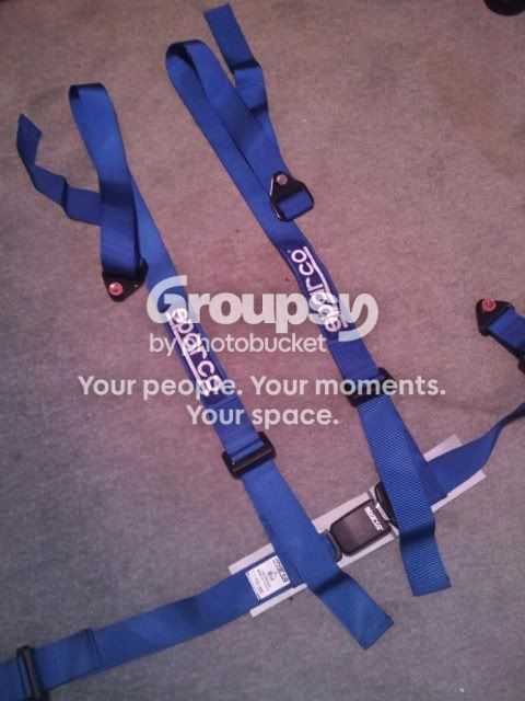 SparcoHarness.jpg